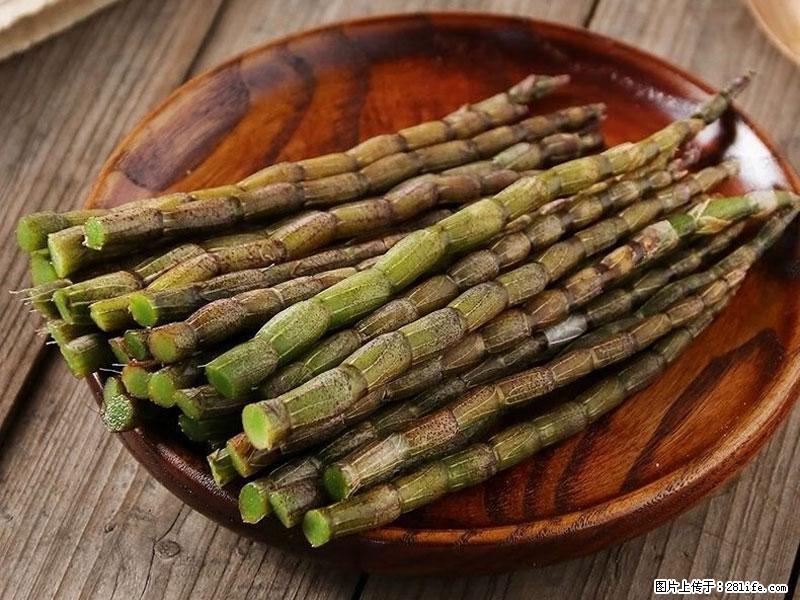 铁皮石斛的作用与功能主治 - 驻马店生活资讯 - 驻马店28生活网 zmd.28life.net