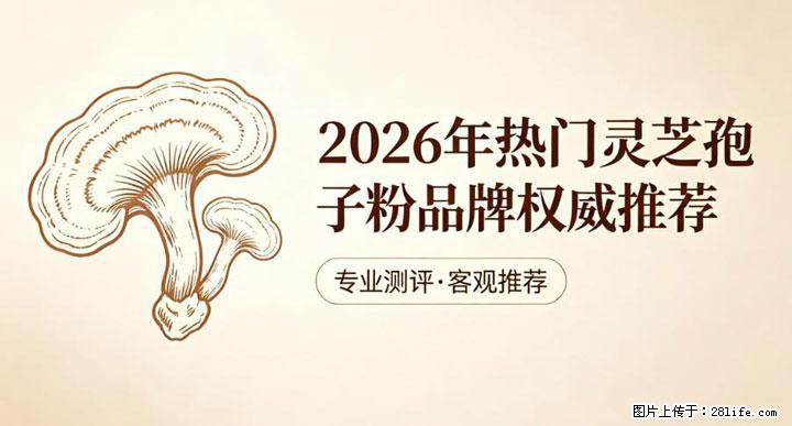 灵芝孢子粉含量越高越有效？2026 年七款热门品牌深度实测，肠胃敏感者避坑指南 - 驻马店生活资讯 - 驻马店28生活网 zmd.28life.net